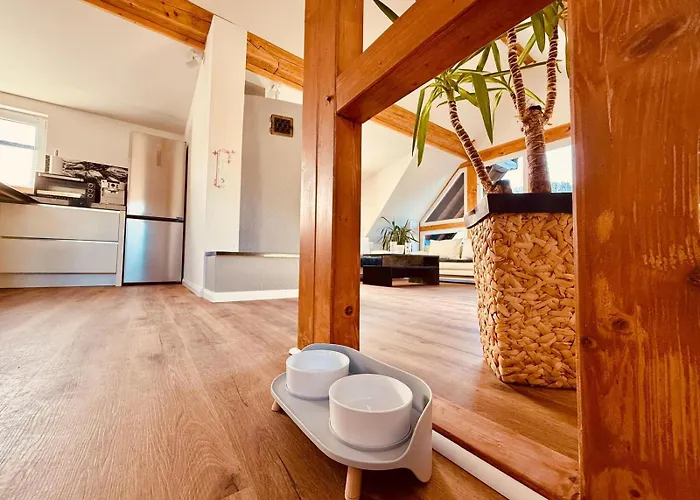 Fabians - Rurseeloft * זימראת'